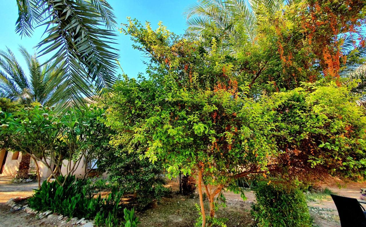 Sekhmet Retreat Centre Hotel ลักซอร์ ภายนอก รูปภาพ
