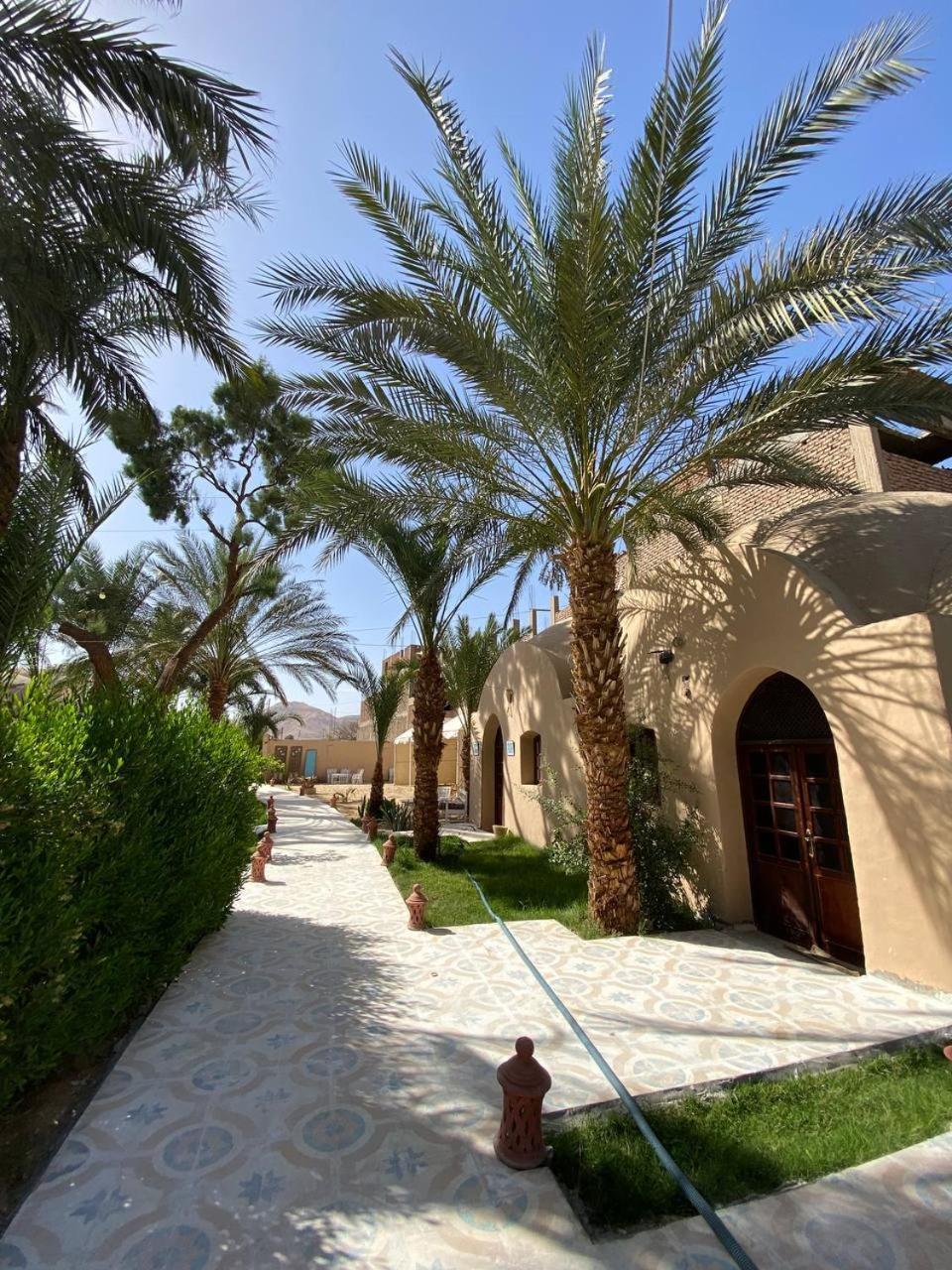 Sekhmet Retreat Centre Hotel ลักซอร์ ภายนอก รูปภาพ