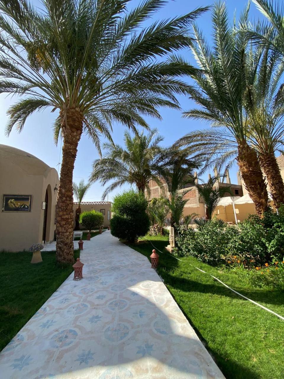 Sekhmet Retreat Centre Hotel ลักซอร์ ภายนอก รูปภาพ